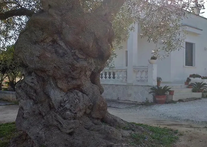Le Stanze Di Casa Polinisso Kır Evi *